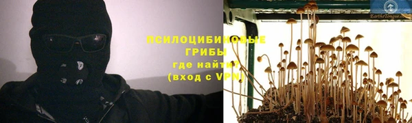 кокс Абаза