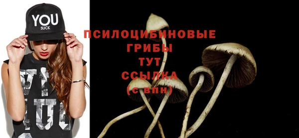ешки Абдулино