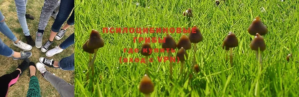 кокс Абаза